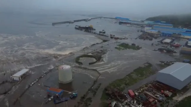 Japan-Russia Tsunami Sparks 'Prophecy' Panic In China, New Baba Vanga's Prediction Goes Viral After Earthquake Hits Pacific