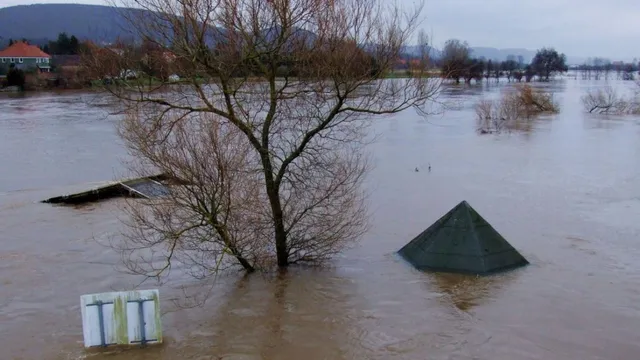 up-flood-alert-rainfall-leads-to-panic-in-bijnor-muzaffarnagar-other-districts-check-imd-forecast