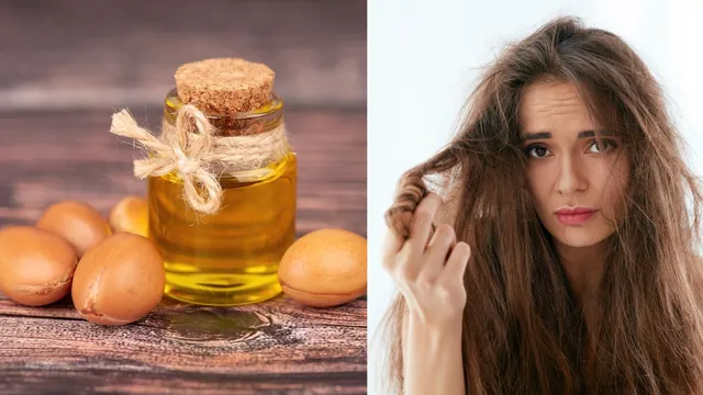 is-your-damaged-and-frizzy-hair-screaming-for-help-7-hair-oils-that-might-be-your-miracle-fix