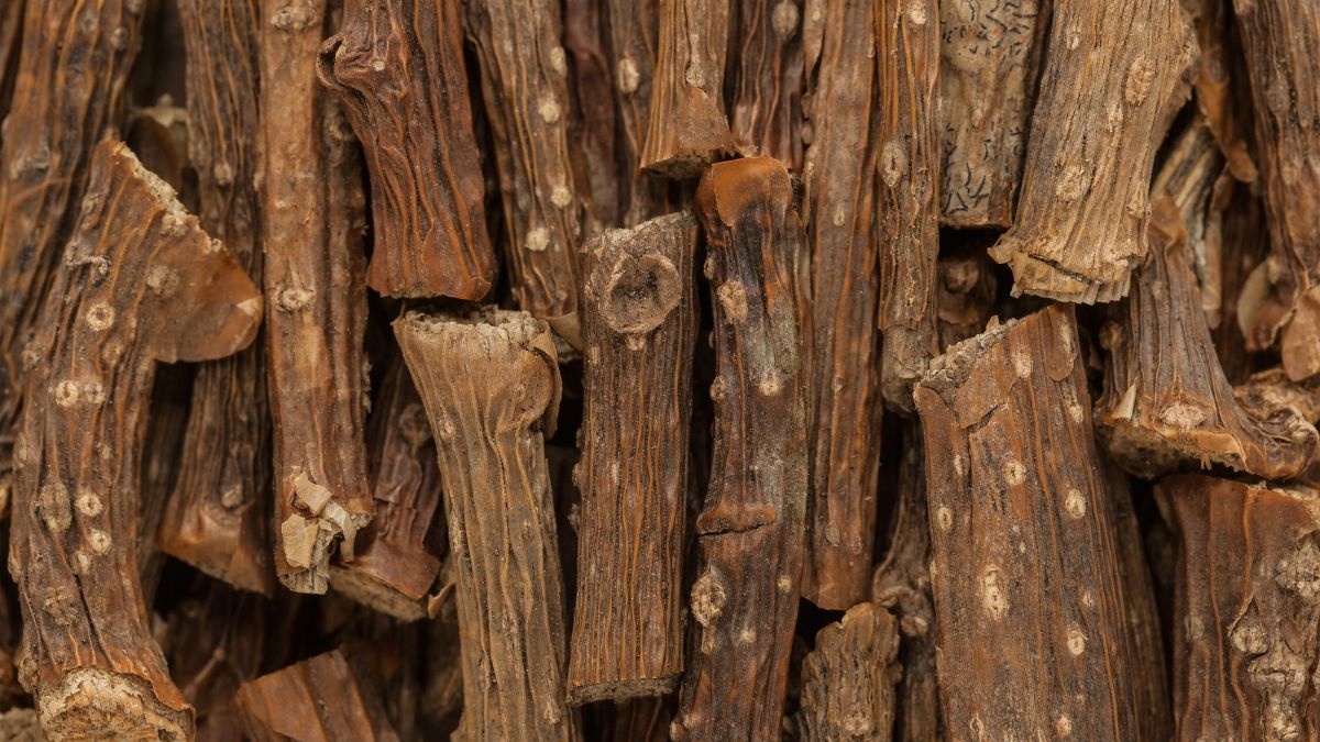 herbs to delay ageing