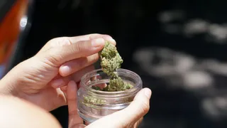 hyderabad-women-among-32-medical-college-students-caught-consuming-ganja-in-hostel-other-colleges-under-scanner