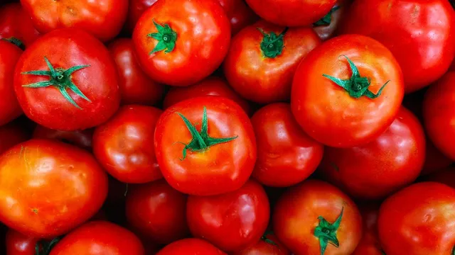 delhi-tomato-prices-eased-as-centre-begins-sale-at-rs-13-less-than-market-rates-check-cost-and-outlet-details