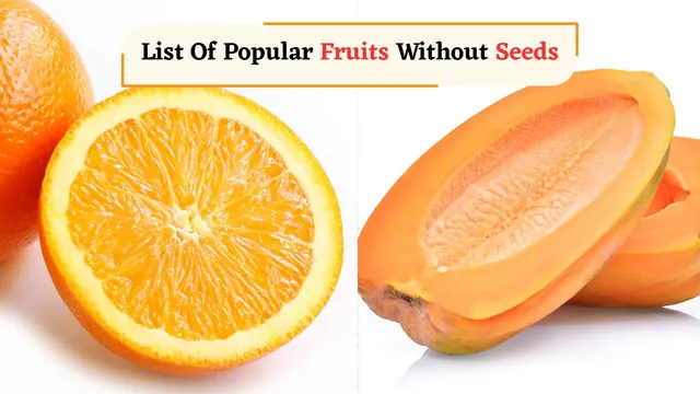 list-of-unique-and-popular-fruits-that-have-no-seeds