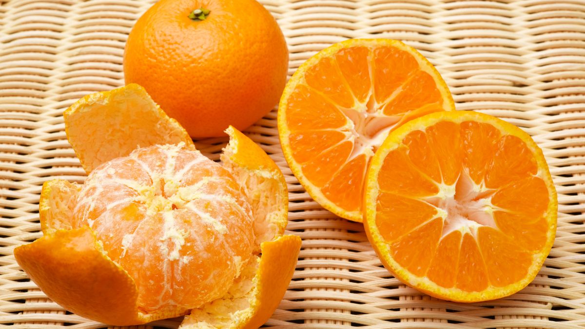 list of popular fruits without seeds (1)