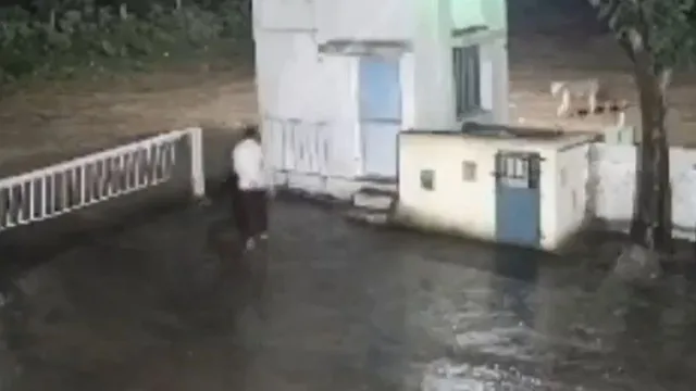 man-and-lion-sudden-face-off-in-gujarat-junagadh-caught-on-camera-internet-says-mout-se-bhag-ke-aya-hai-viral-video