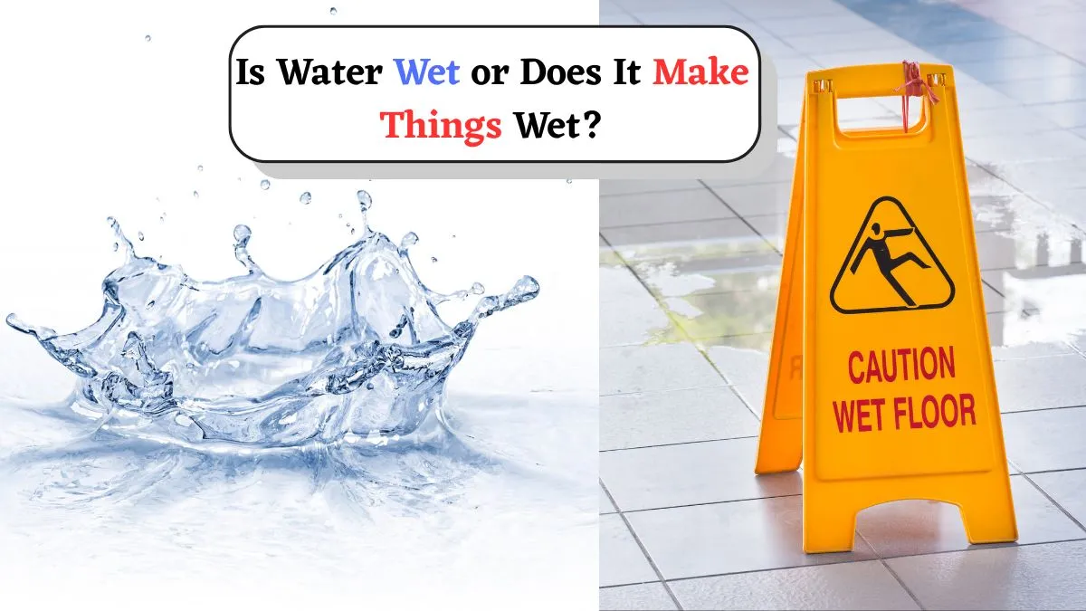 is-water-wet-or-does-it-only-make-other-things-wet-know-the-science-behind-this