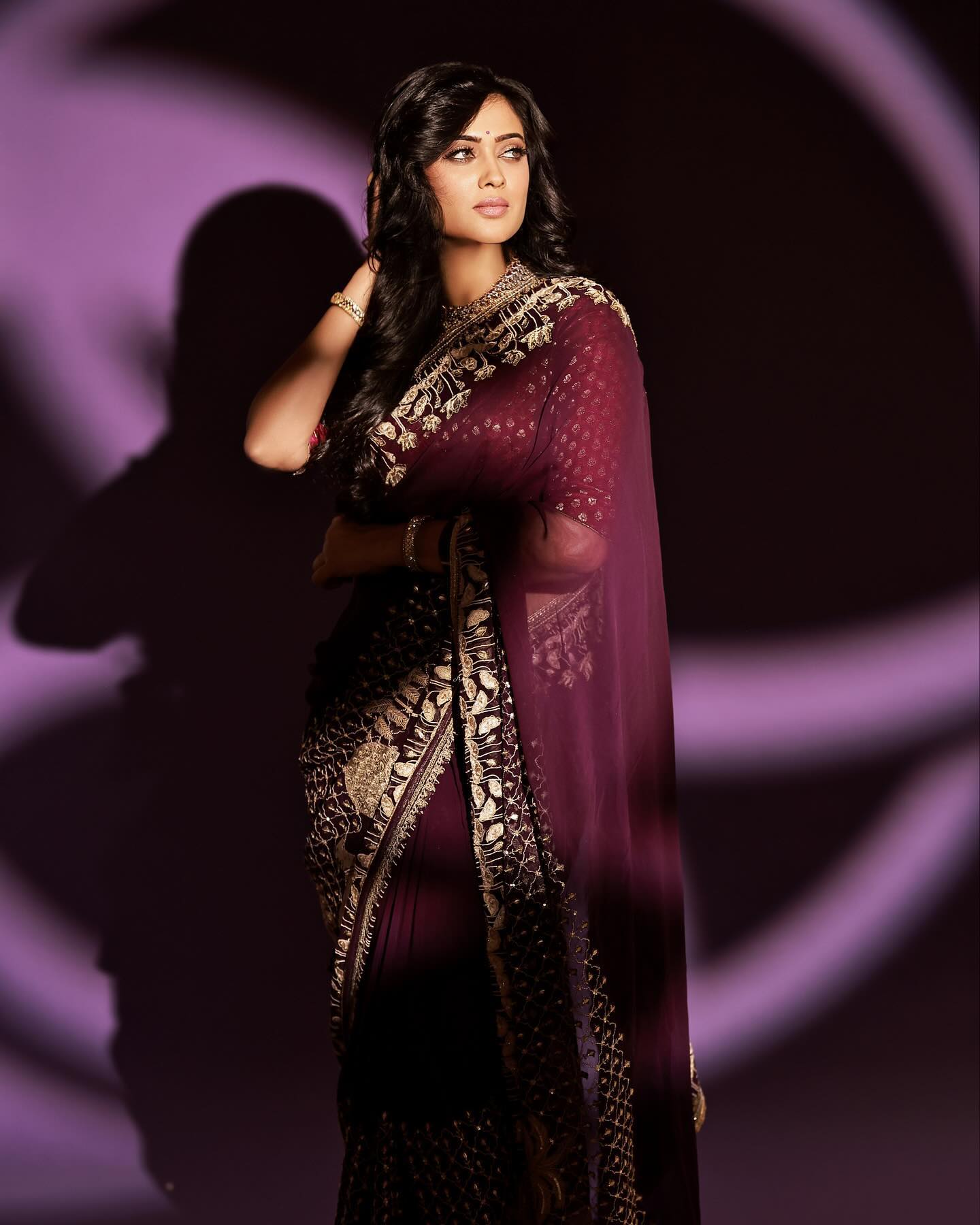 shweta tiwari saree