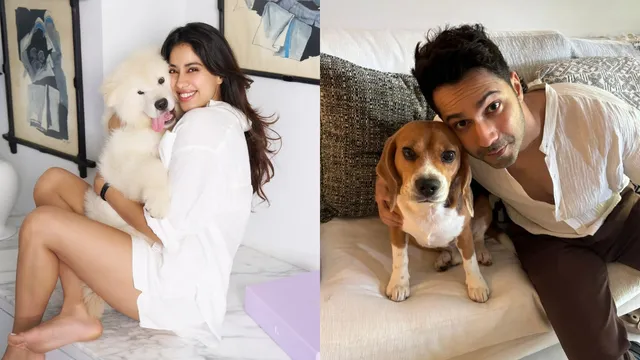 janhvi-kapoor-varun-dhawan-and-other-bollywood-celebrities-slam-supreme-court-order-to-remove-all-stray-dogs-from-delhi-ncr-streets