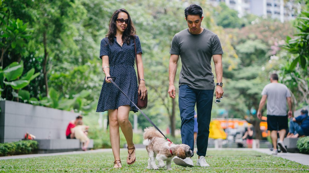 Three Hour Night Rule Activities In Relationship