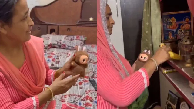 jai-labubu-desi-mom-mistakes-labubu-doll-for-chinese-god-offers-prayers-in-viral-video