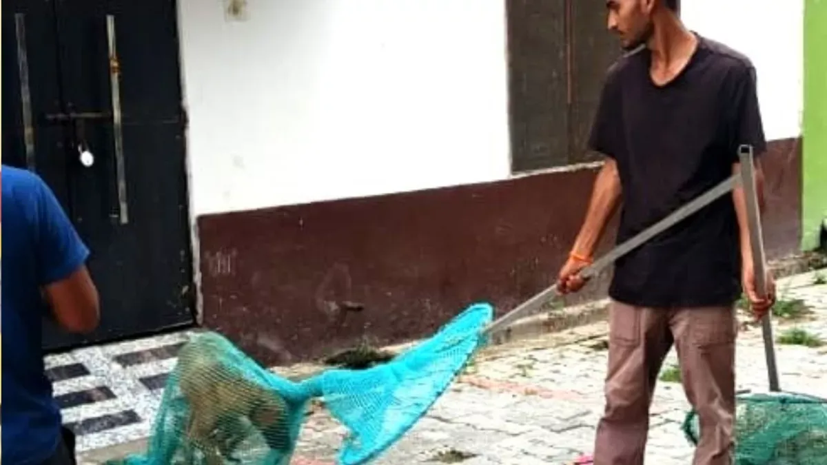 up-crackdown-on-stray-dogs-begins-15-canines-caught-on-day-1-in-hapur-amid-row-over-relocation