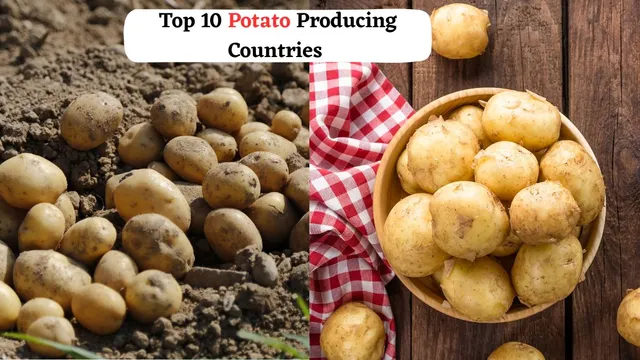 top-10-potato-producing-countries-in-the-world
