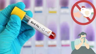 H5N1 Bird Flu Outbreak In Uttarakhand: Symptoms And Precautions That People Must Know To Stay Safe