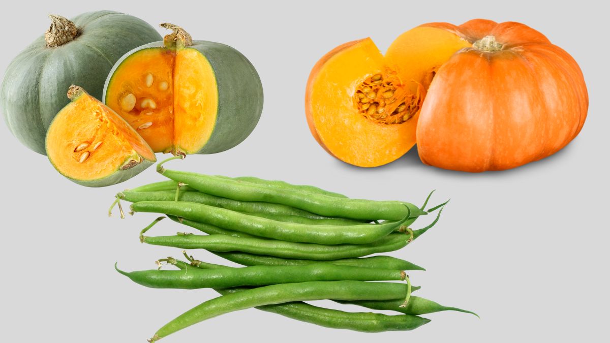 list of vegetables that are actually fruit (2)