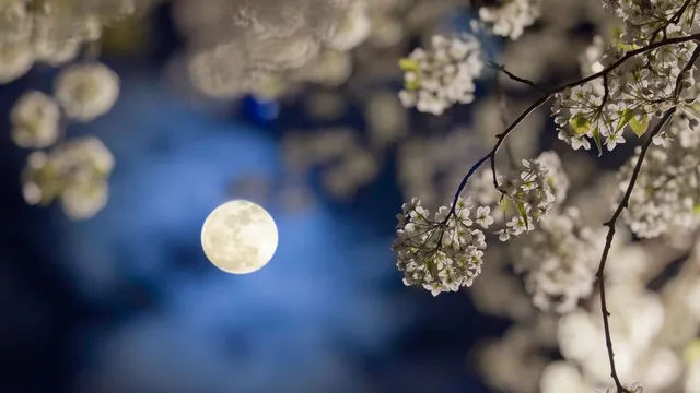 6-magical-moon-garden-plants-to-brighten-and-beautify-your-home