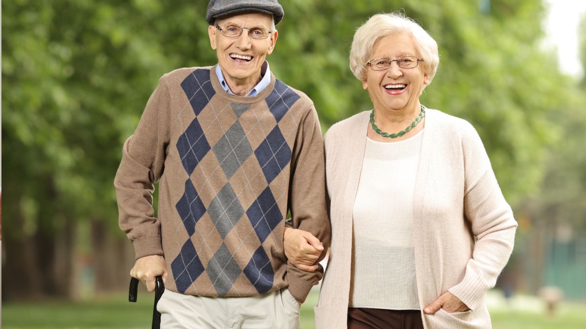 top 10 countries with most senior citizens  (1)