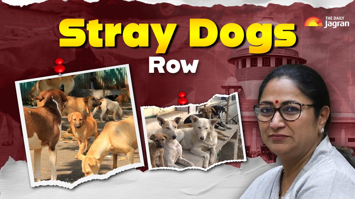 stray-dogs-row-from-aug-11-sc-order-to-attack-on-delhi-cm-rekha-gupta-how-street-canines-removal-issue-snowballed-ten-points