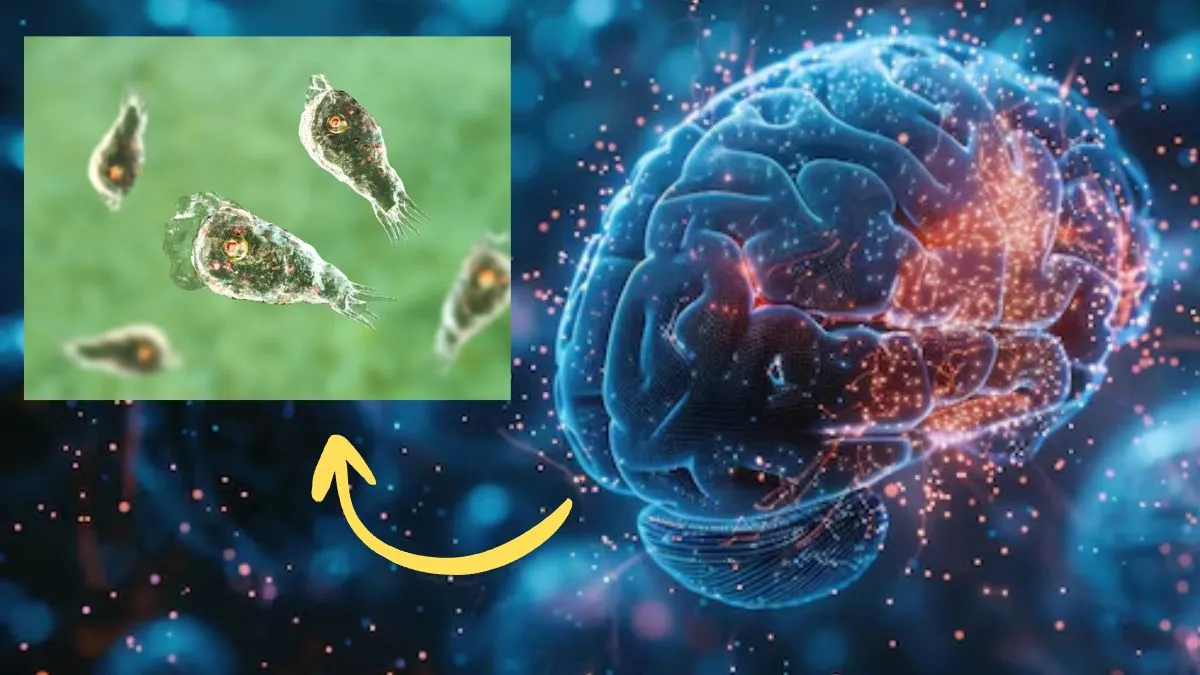 fatal-brain-eating-amoeba-strikes-missouri-naegleria-fowleri-symptoms-risks-and-treatment-explained