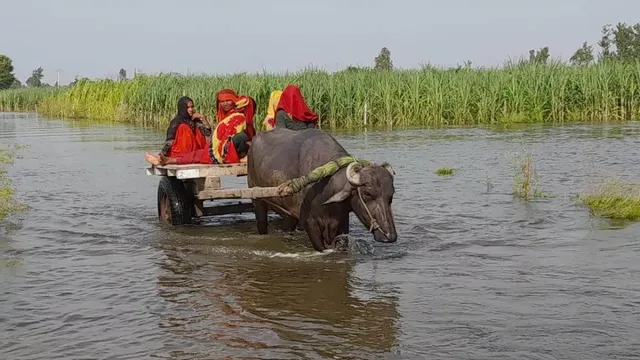 hapur-flood-ganga-river-above-red-alert-for-third-straight-week