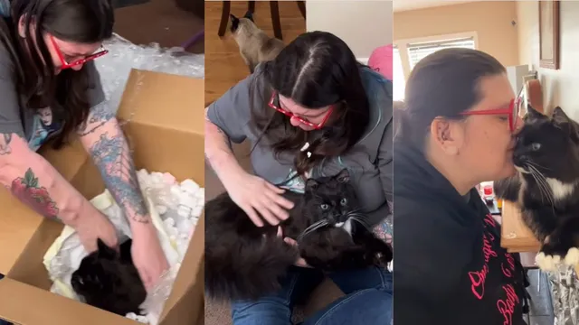 new-york-woman-meghan-riley-freeze-dries-dead-pet-viral-instagram-reel