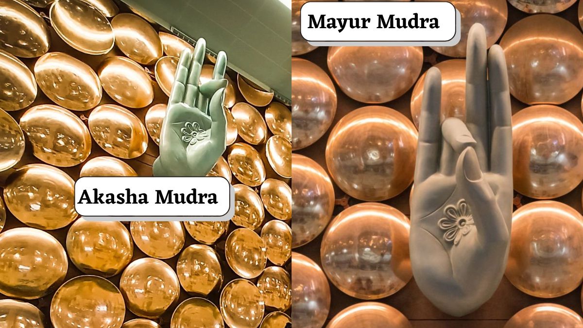 9 mudras and their meanings at igi airport delhi (2)