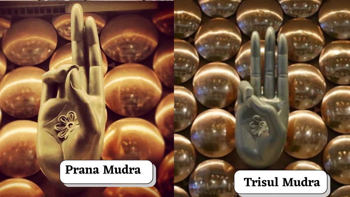 9 mudras and their meanings at igi airport delhi (6)