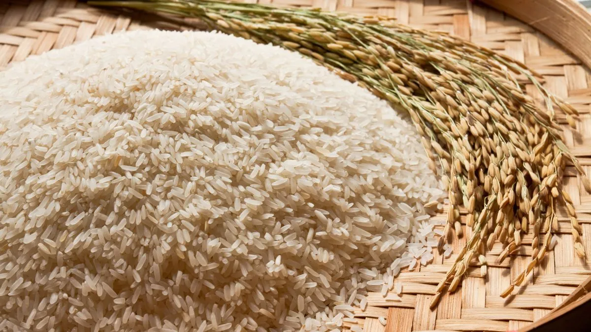 kerala-govt-to-distribute-4-kg-rice-each-to-247-lakh-students-under-midday-meal-scheme-ahead-of-onam
