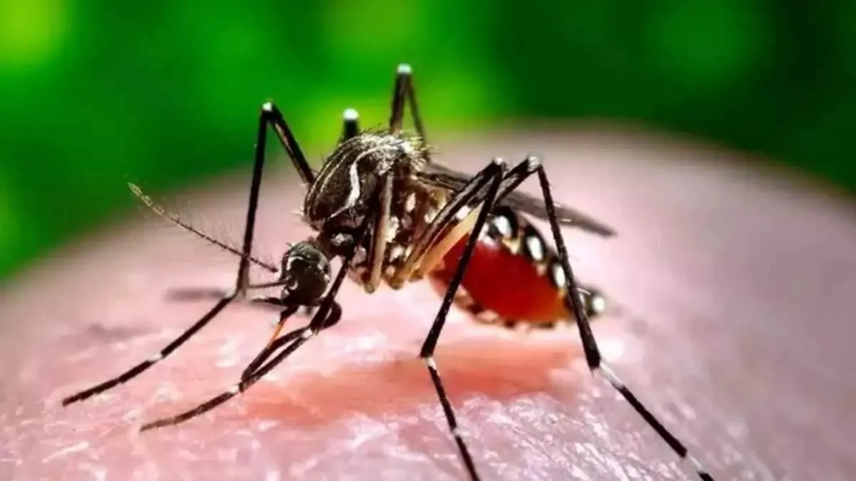 dengue-alert-in-patna-schoolchildren-at-high-risk-as-waterlogged-campuses-breed-mosquitoes