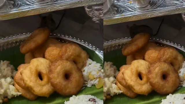 mouse-steals-vada-from-pooja-thali-viral-video-leaves-internet-chanting-ganpati-bappa-morya