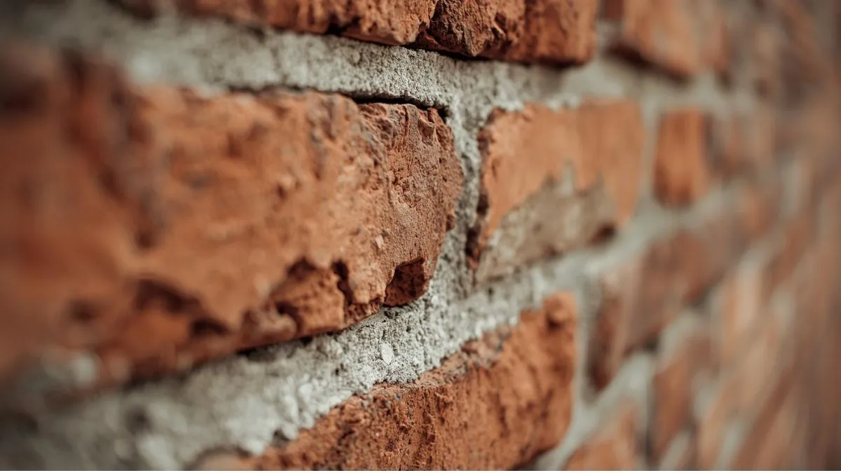 mp-news-shadol-gram-panchayat-buys-2500-bricks-worth-rs-12500-for-rs-125-lakh-collector-orders-probe-after-bill-goes-viral