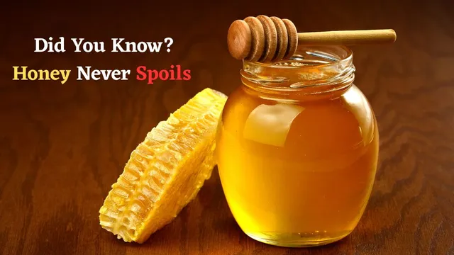 did-you-know-honey-never-spoils-archaeologists-found-3000-year-old-honey-that-was-still-edible