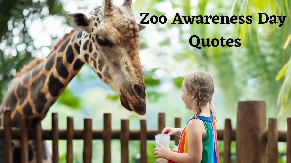 national-zoo-awareness-day-awareness-quotes-and-messages-to-protect-wildlife