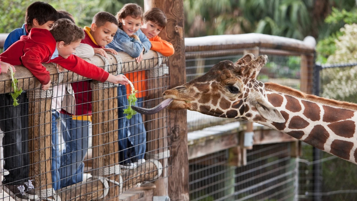 national zoo awareness day quotes
