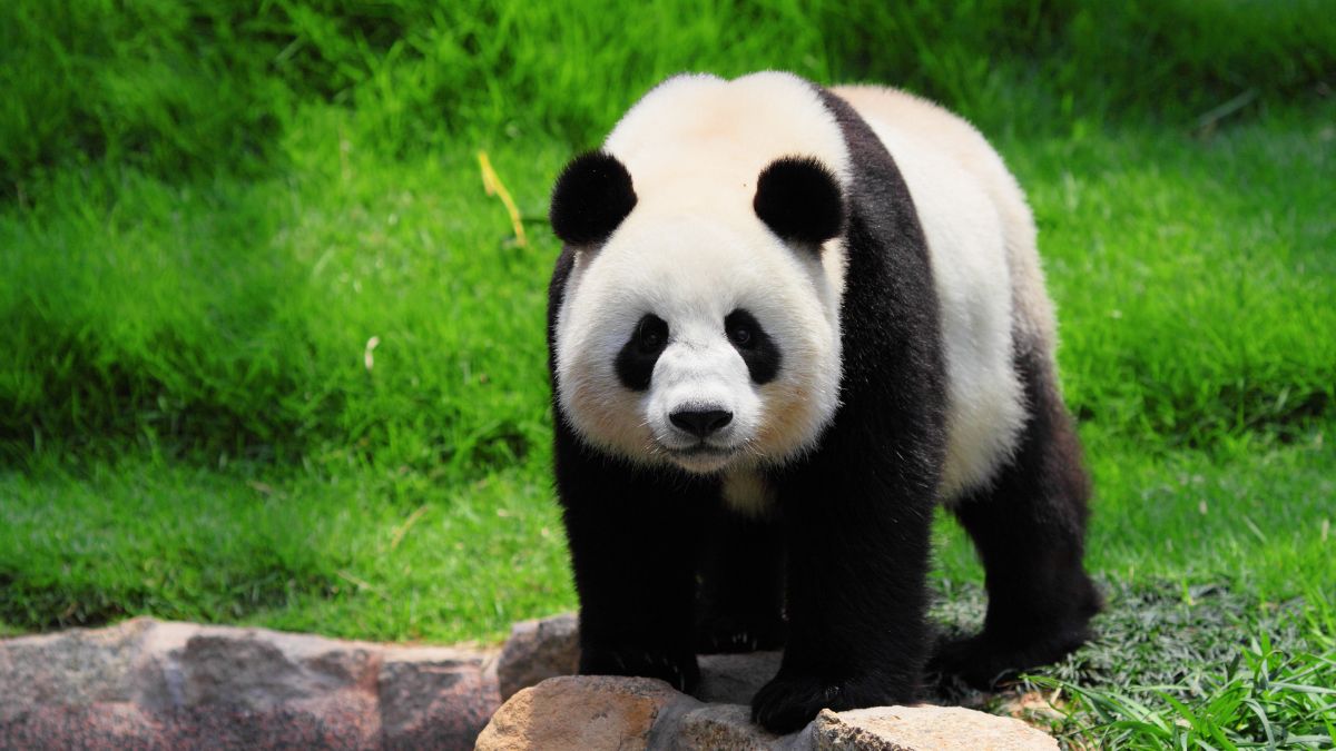 national zoo awareness day quotes.