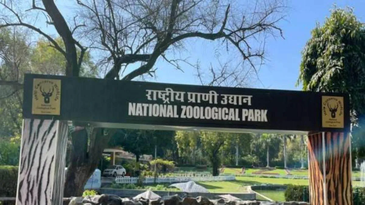 bird-flu-outbreak-at-delhi-zoo-12-birds-dead-facility-shut-for-visitors