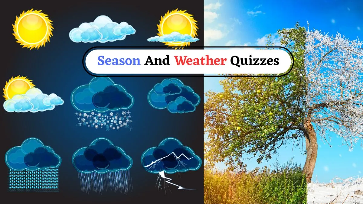 interesting-quizzes-about-seasons-climate-and-weather-to-test-your-knowledge