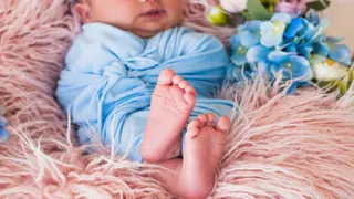 Indore: Two Newborns Bitten By Rats at NICU Of Top MP Hospital, Check Medical Superintendent's Statement
