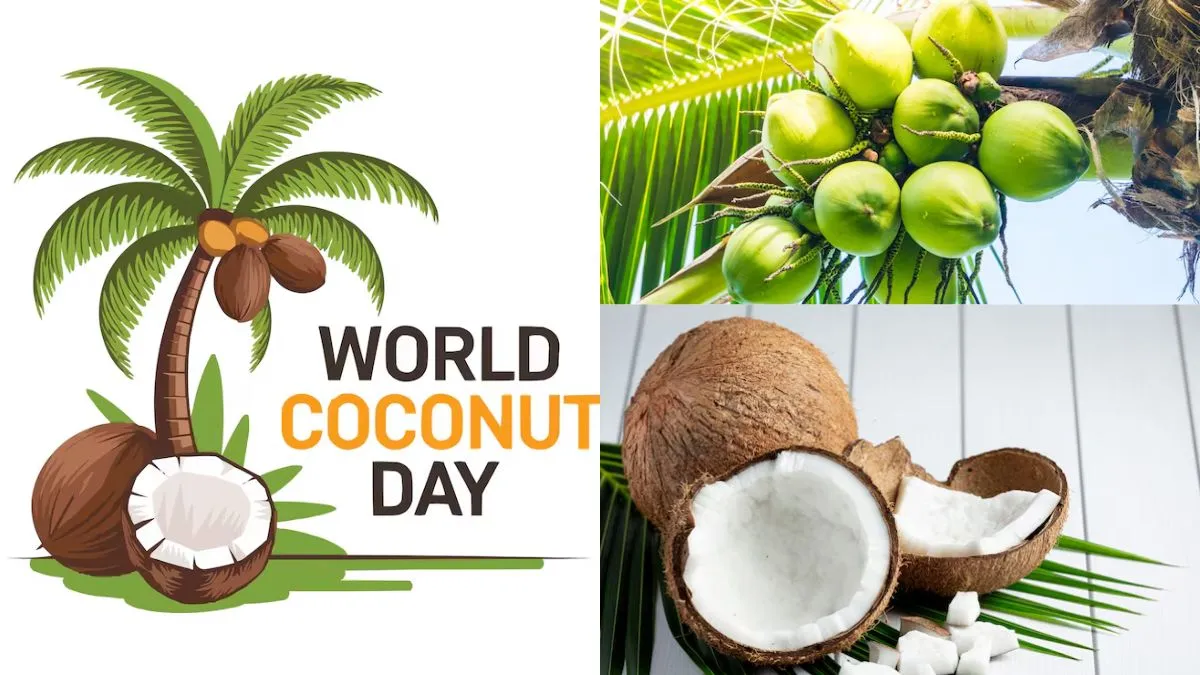 surprising-facts-about-the-coconut-fruit-on-world-coconut-day