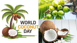 30 Surprising Facts About The Coconut Fruit On World Coconut Day