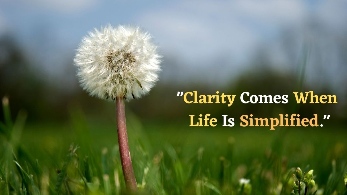 50 quotes about simplicity in life  (3)