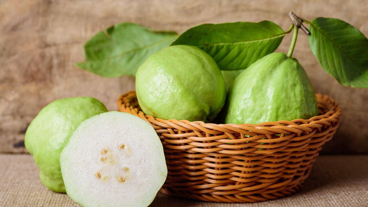 who should not eat guava