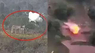 'Elimination Of Perpetrators': Indian Army Shares New Video Highlighting Key Moments Of Operation Sindoor