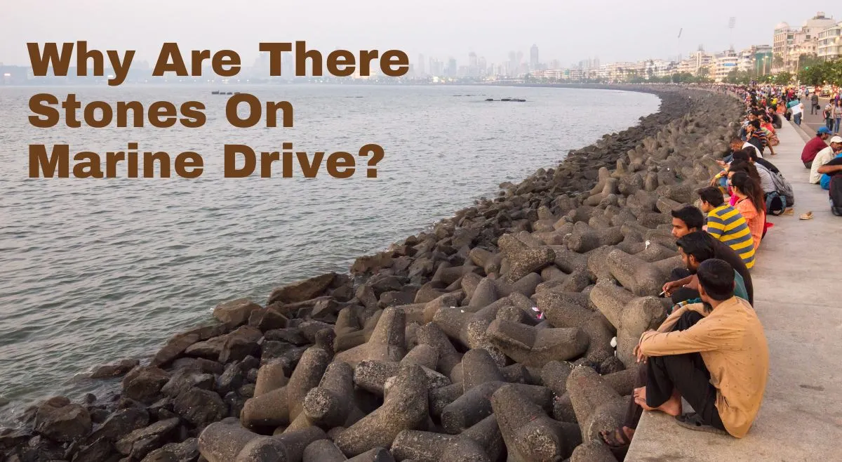 why-are-there-stones-at-marine-drive