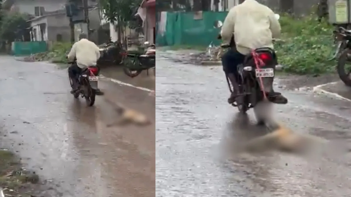 viral-video-shows-man-dragging-dead-dog-behind-his-bike-nashik-police-files-case