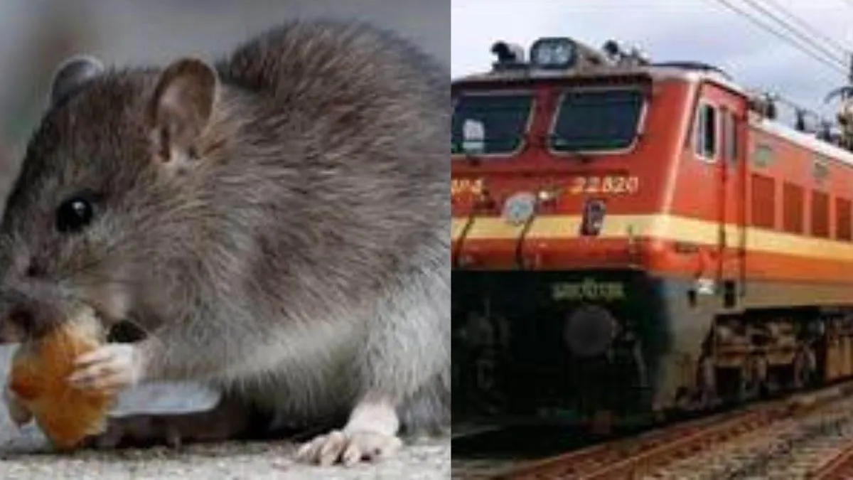 samastipur-drm-orders-wiring-inspection-in-all-trains-after-rat-causes-shortcircuit