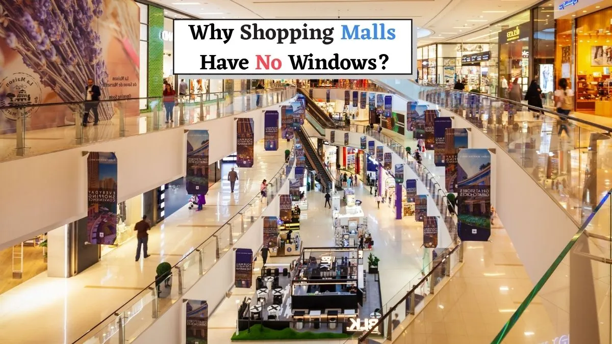 do-you-know-why-shopping-malls-have-no-windows-find-out-the-surprising-answer