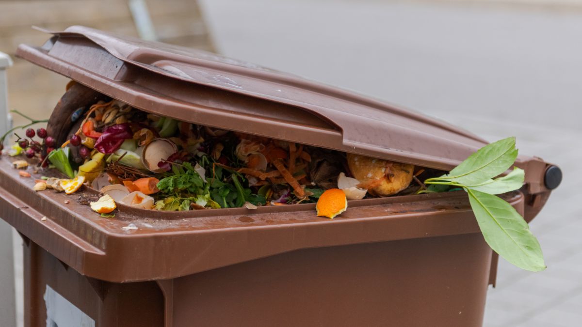 cinnamon and cayenne pepper to keep flies away