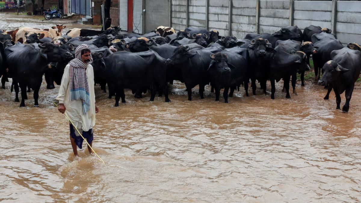 important safety tips during flood (3)