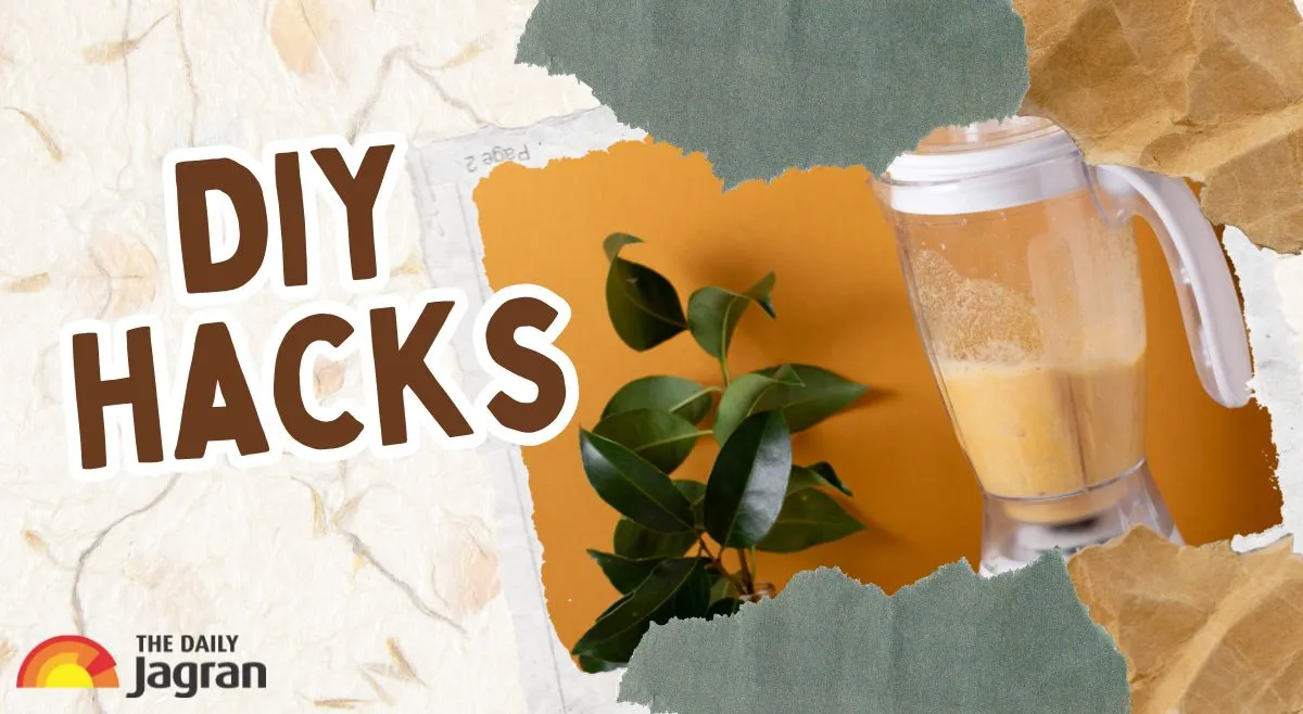 diy-hacks-to-remove-stubborn-smell-from-mixer-jar-even-after-washing