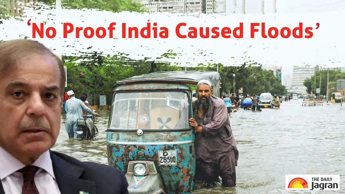 pakistan-flood-water-experts-says-india-is-not-responsible-for-flood-disaster-in-pakistan